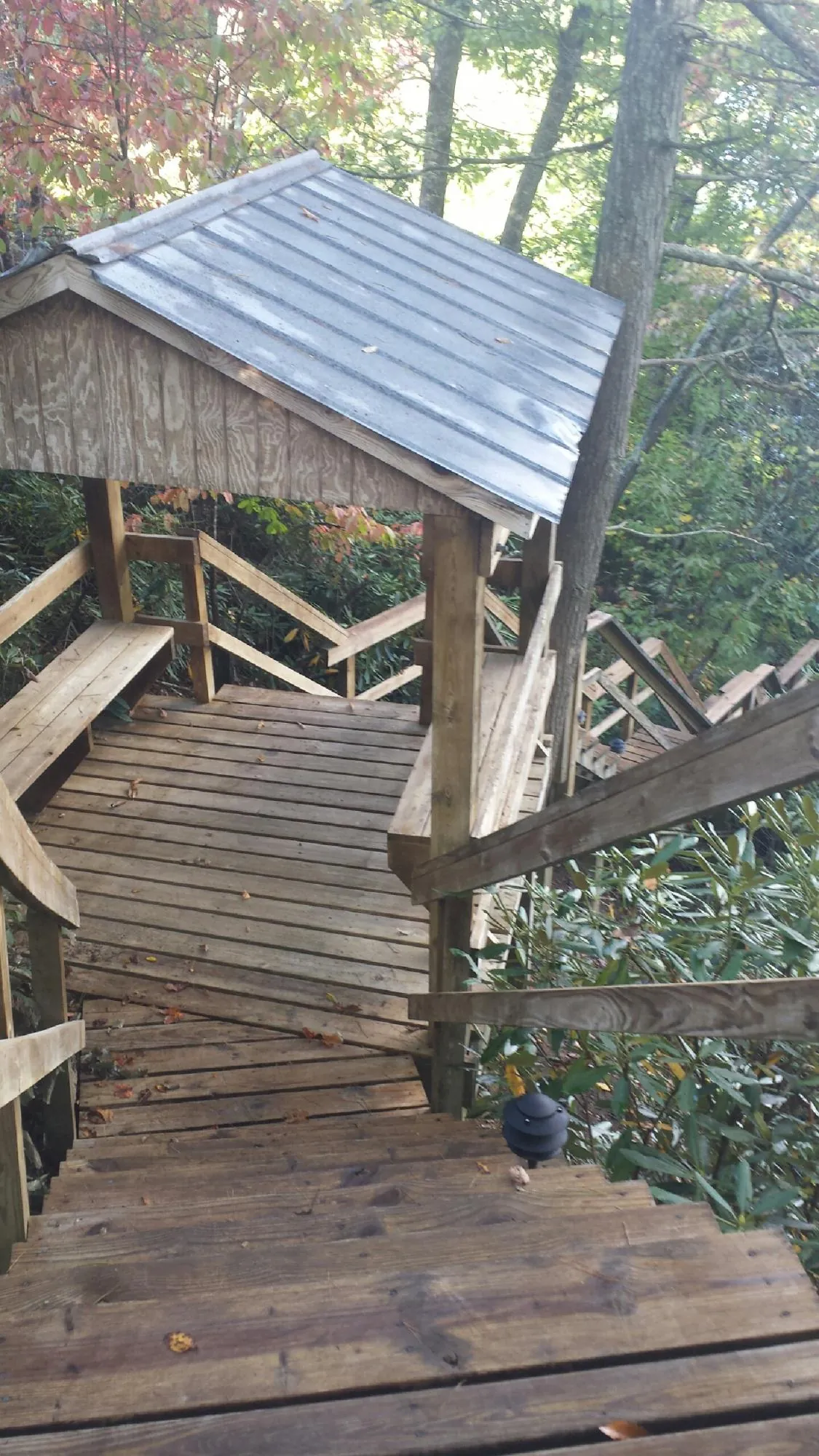 Metal roofed shelter over wooden steps on a wooded walkway in Lakeview